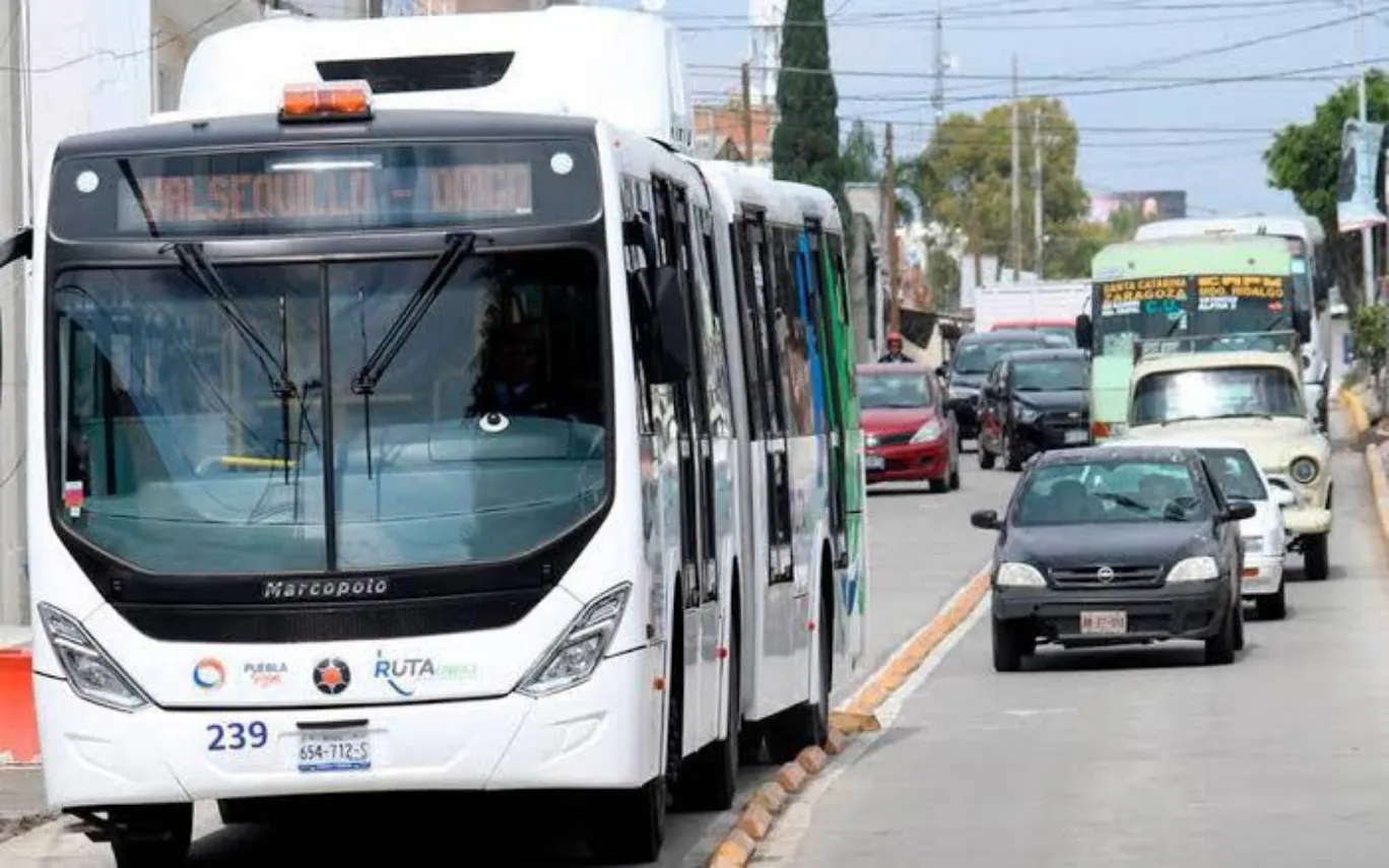 La SSP va por los “Carteristas” que operan en la RUTA; ya los tiene identificados