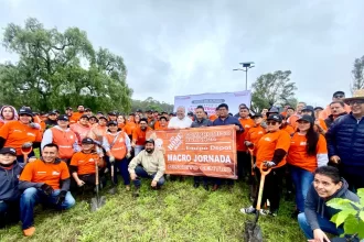 Refuerza Gobierno de la Ciudad acciones ambientales con dos jornadas de plantación de árboles en esta semana