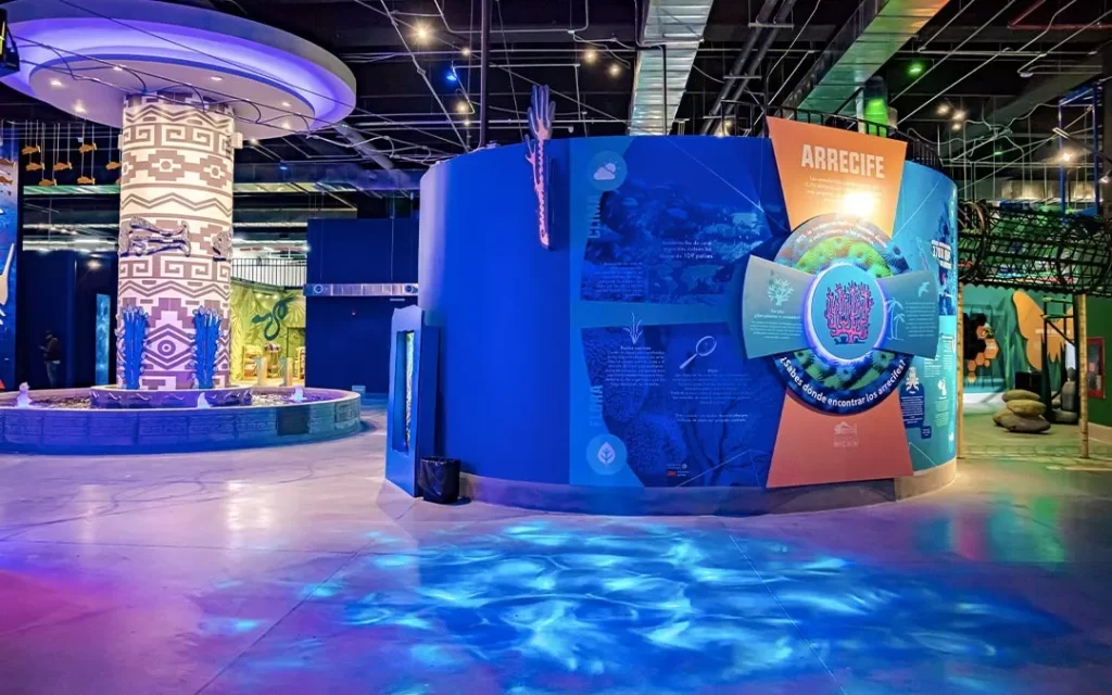 ¡Diversión Acuática y Ofertas Imperdibles! Descubre las Promociones Especiales del Acuario Michin Puebla