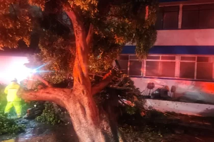 Atiende Gobierno de la Ciudad reportes por inundaciones y caída de árbol