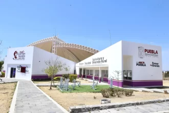 Casas Carmen Serdán: Puebla registra una reducción del 40% en feminicidios