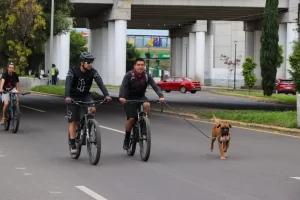 Gran participación registró Vía Recreativa Metropolitana en su edición “Seres Sintientes”