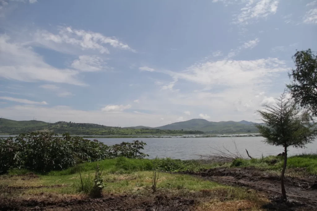 Inicia la construcción del puente vehicular “La Panga”