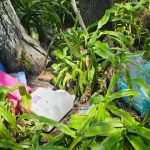 Emite IMSS Puebla recomendaciones para prevenir contagios por dengue durante la temporada de lluvias