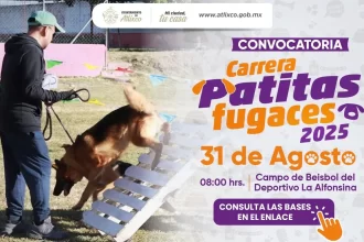 Ariadna Ayala, te invita a la carrera "Patitas Fugaces 2025"