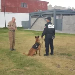 K9