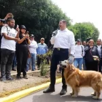 Puebla intensifica medidas para proteger a los animales y frenar el abandono