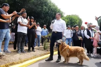 Puebla intensifica medidas para proteger a los animales y frenar el abandono