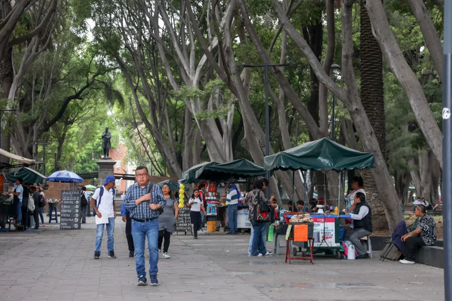Paseo Bravo