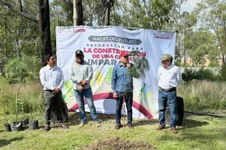 Gobierno de la Ciudad impulsa una Puebla más verde