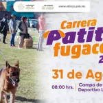 Ariadna Ayala continúa fortaleciendo la unión familiar con la carrera "Patitas Fugaces" en Atlixco imagen 1