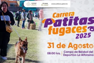 Ariadna Ayala continúa fortaleciendo la unión familiar con la carrera "Patitas Fugaces" en Atlixco imagen 1