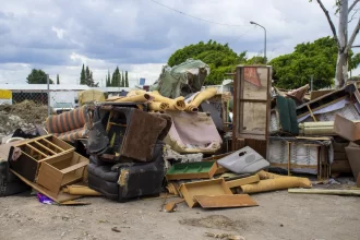 Avanza primera etapa del Programa de Descacharrización 2025 del Gobierno de la Ciudad imagen 1