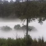 Emergencia en Tlaxcala: fuga de gas LP causa pánico y evacuación masiva en Nanacamilpa