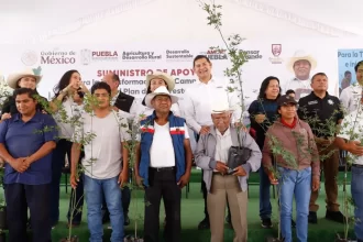 En microrregión de Cuapiaxtla inicia plan de reforestación 2025