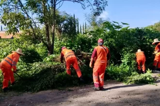 Realiza Gobierno de la Ciudad limpieza de alcantarillas en la Central de Abasto, en temporada de lluvias