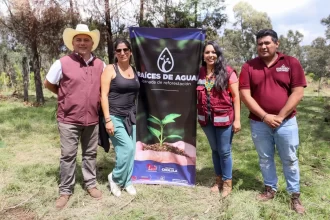 Tonantzin Fernández impulsa acciones ambientales con la jornada “Raíces de Agua” en el Cerro Zapotecas