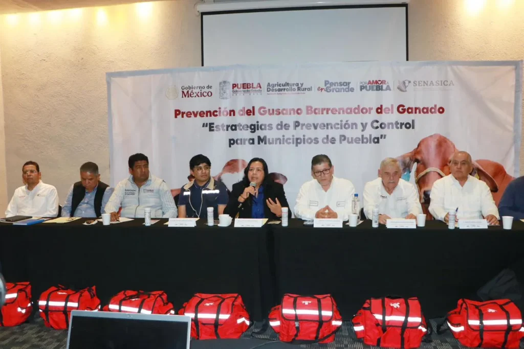 Autoridades unen esfuerzos para erradicar Gusano Barrenador del Ganado