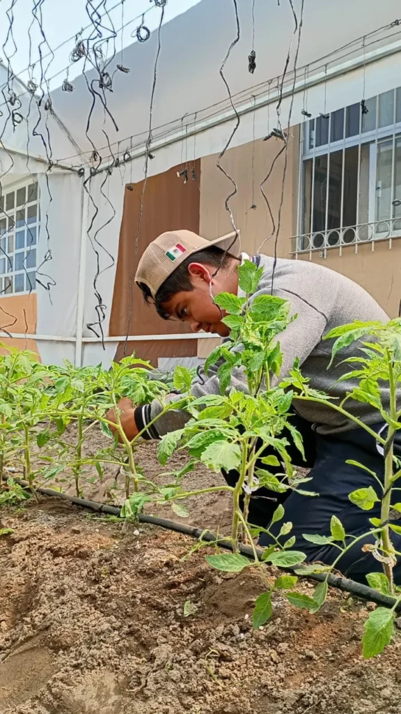 Con huertos escolares Altosano Granjas Carroll impulsa a estudiantes, el conocimiento y la sostenibilidad