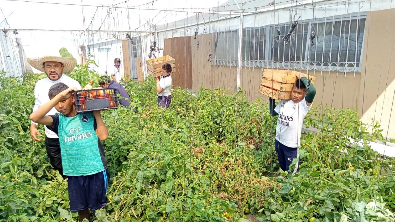 Con huertos escolares Altosano Granjas Carroll impulsa a estudiantes, el conocimiento y la sostenibilidad