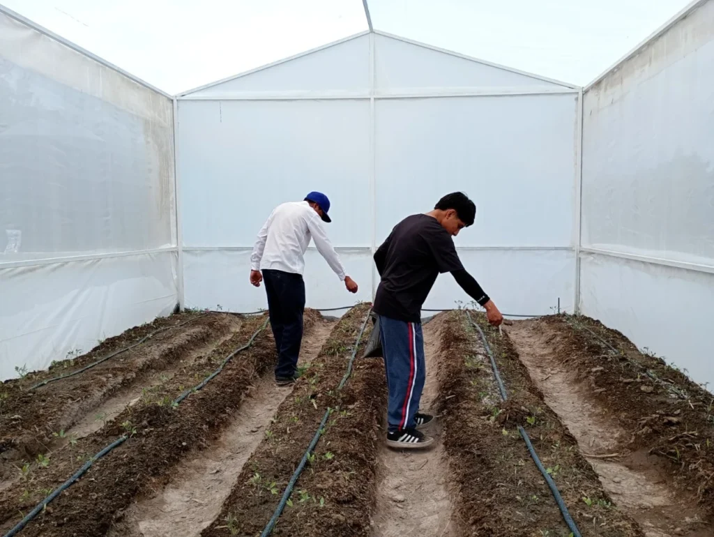 Con huertos escolares Altosano Granjas Carroll impulsa a estudiantes, el conocimiento y la sostenibilidad