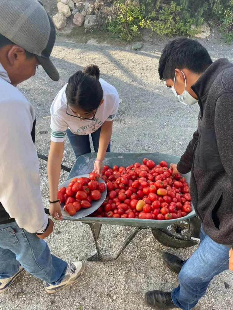 Con huertos escolares Altosano Granjas Carroll impulsa a estudiantes, el conocimiento y la sostenibilidad