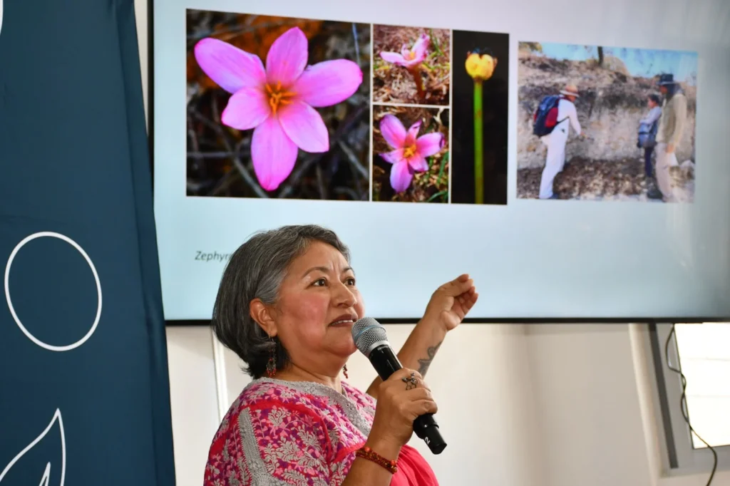 Documenta BUAP la diversidad botánica en CU2