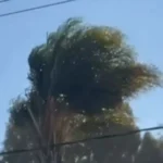 Gobierno de la Ciudad emite recomendaciones ante presencia de ráfagas de viento en la capital poblana