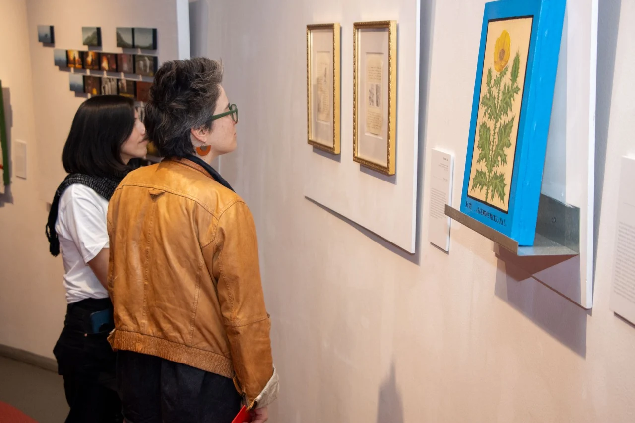 IBERO Puebla celebra ‘15a Bienal IBERO Puebla. Arte Contemporáneo 2025’