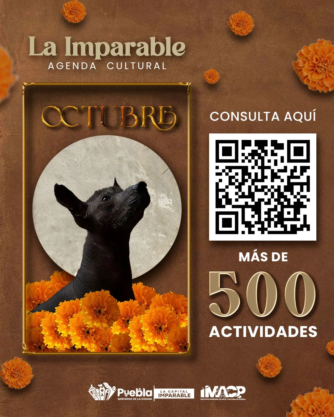 Presenta IMACP más de 500 actividades para octubre en la Agenda Cultural