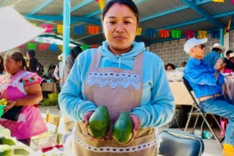Ariadna Ayala impulsa a los productores locales con la feria del aguacate 2025