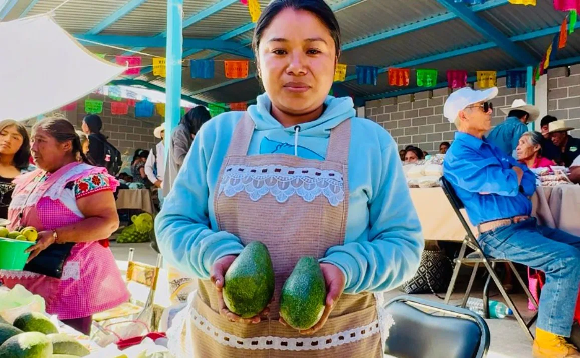 Ariadna Ayala impulsa a los productores locales con la feria del aguacate 2025