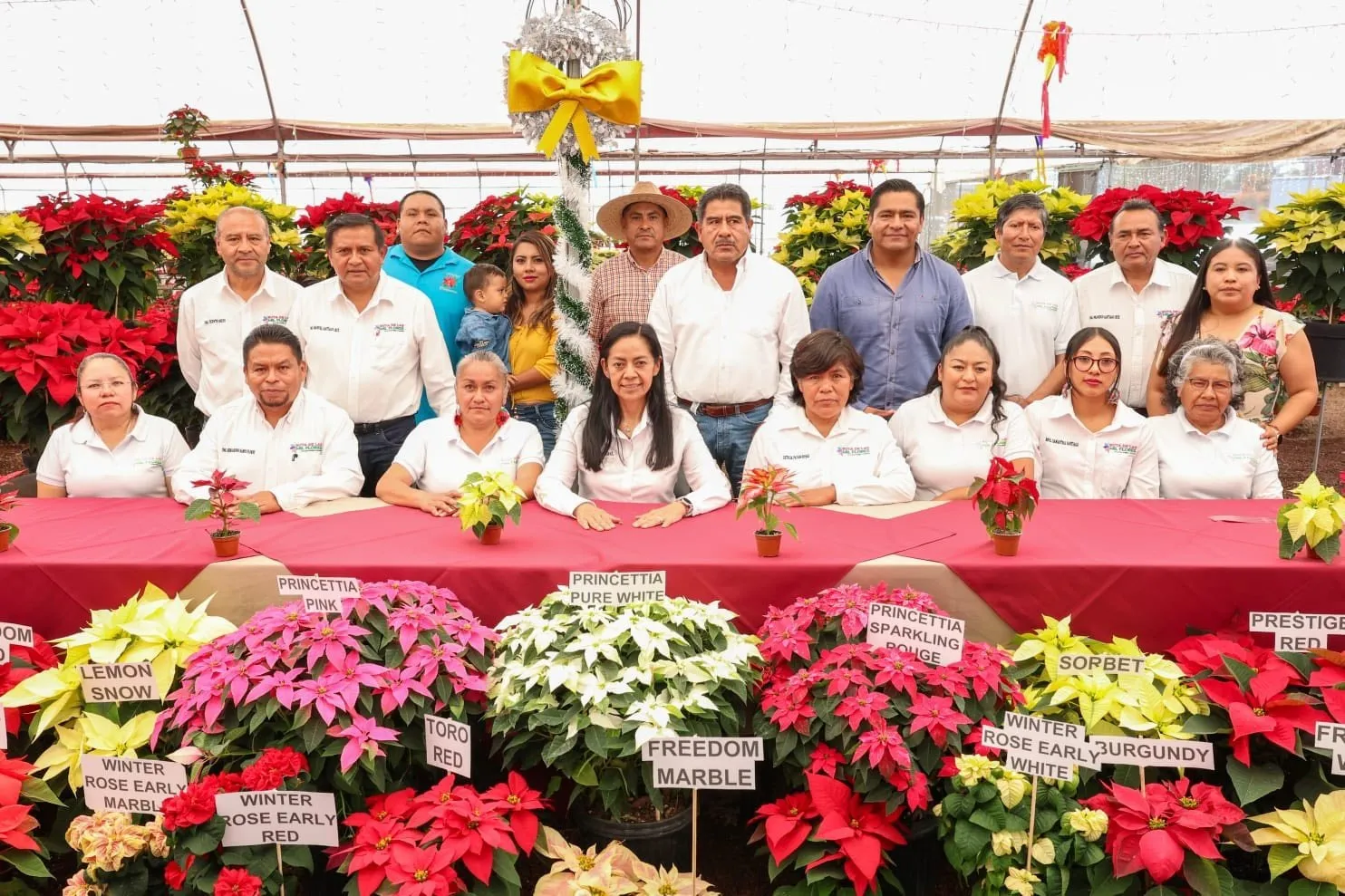 Ariadna Ayala invita a la Feria de la Nochebuena 2025 en Atlixco