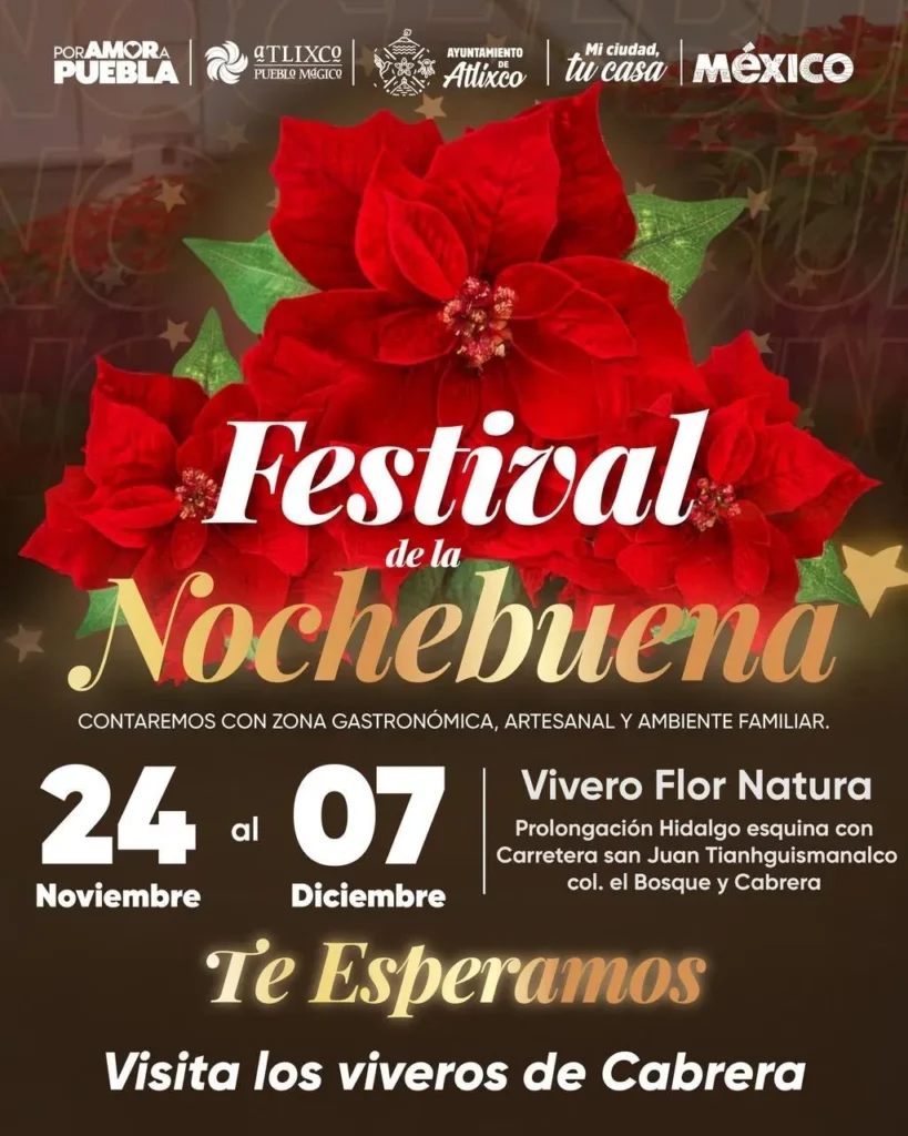 Ariadna Ayala invita a la Feria de la Nochebuena 2025 en Atlixco