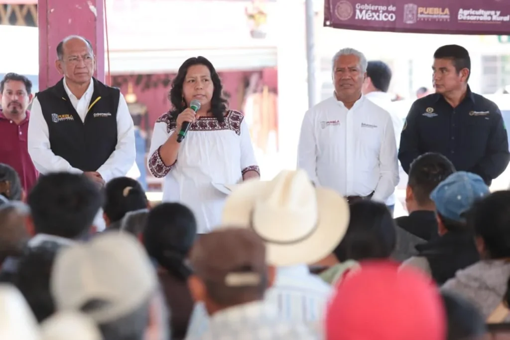 Apoyo al campo poblano: más de 5 mdp para productores afectados por las lluvias