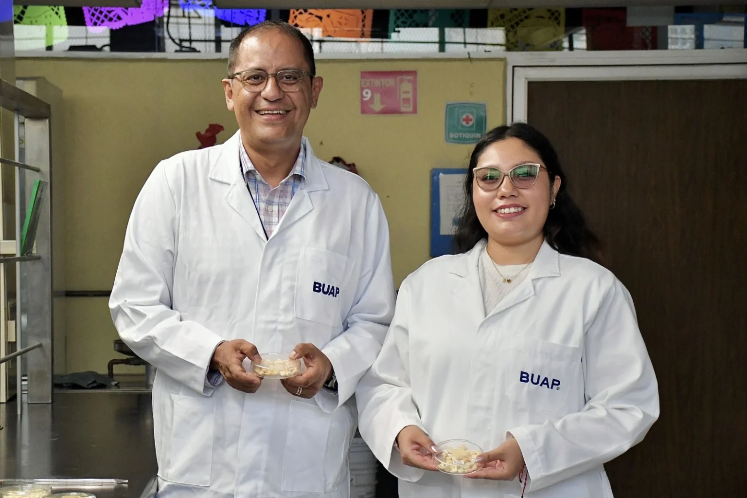 Experimentan con aceite esencial de orégano para inhibir el crecimiento de hongos en el maíz