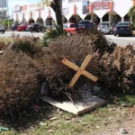 Africam Safari y el Gobierno de la Ciudad activan reciclaje navideño 2025