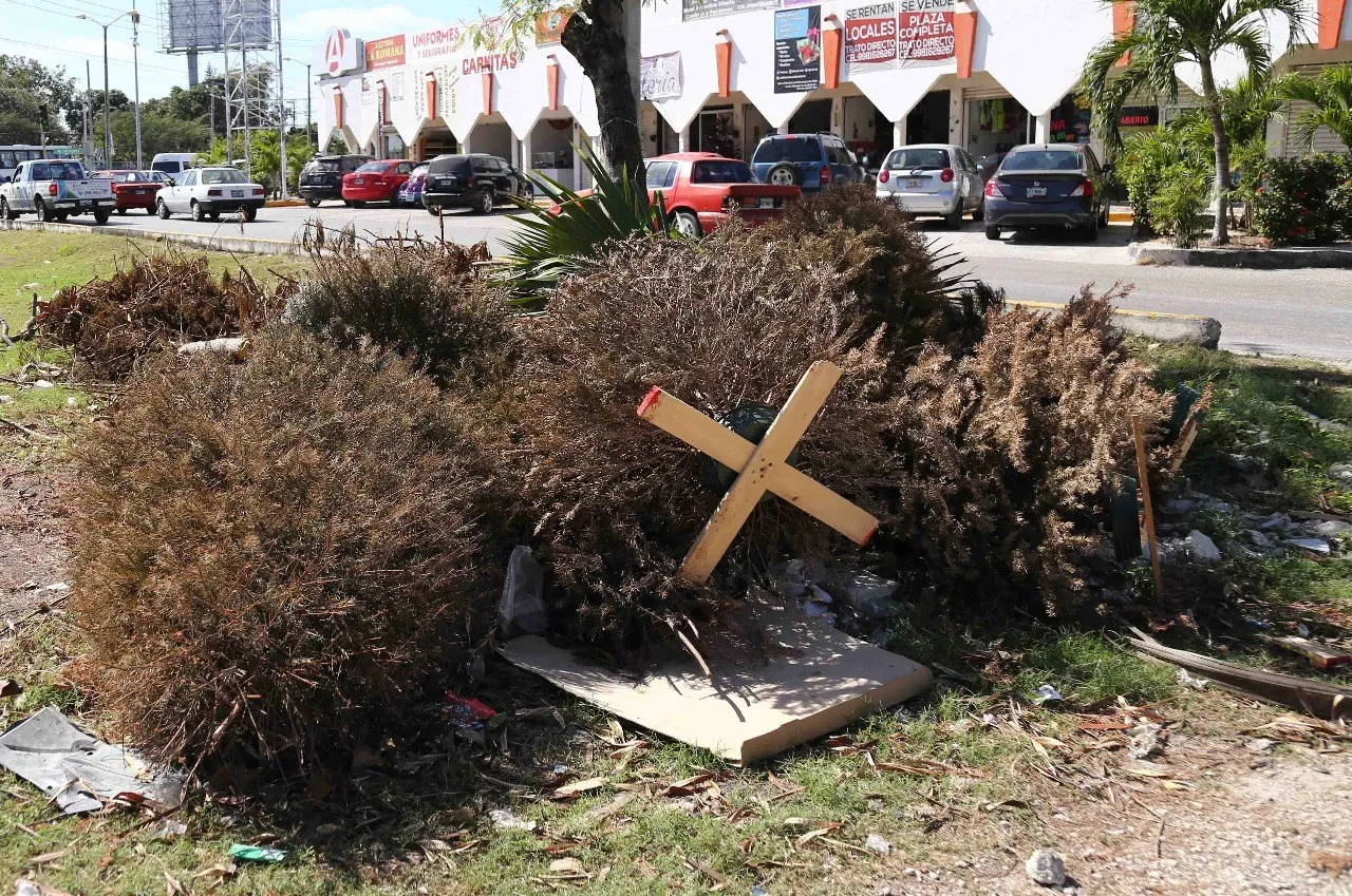 Africam Safari y el Gobierno de la Ciudad activan reciclaje navideño 2025