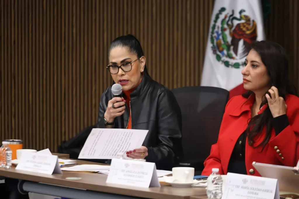 Comparece la secretaria de Movilidad y Transporte