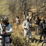 Gobierno del Estado mantiene acciones para la localización de Nemecio Herrera