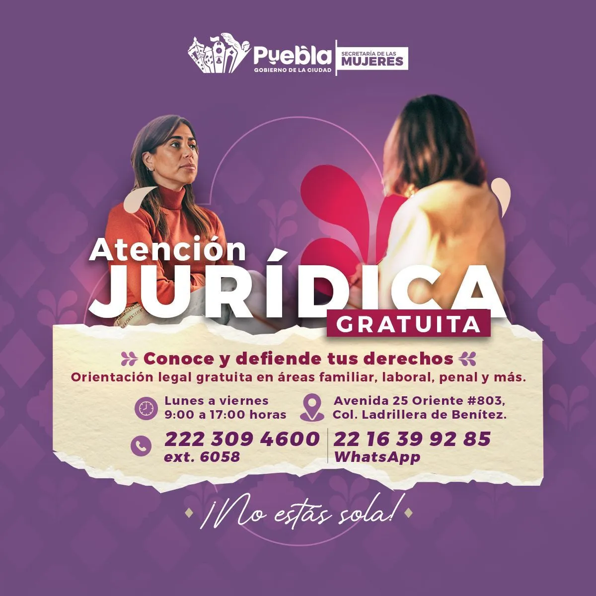 Pepe Chedraui fortalece la atención jurídica y psicológica