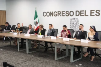 Avala Comisión del Congreso exhorto para implementar un programa de reforestación que incluya el uso de especies nativas