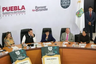 Cero tolerancia a transporte público irregular (2)