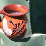 Día del Pulque en la UNAM fiesta y degustación gratis en el Jardín Botánico
