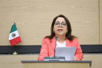 Diputada Soledad Amieva impulsa iniciativa para fortalecer la protección de menores en el entorno digital