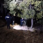 IBA atiende de manera inmediata, acto de crueldad en Haras del Bosque