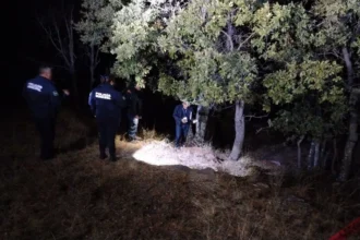 IBA atiende de manera inmediata, acto de crueldad en Haras del Bosque