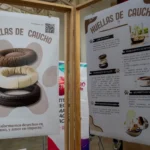 IBERO Puebla crean ‘Huellas de caucho’