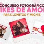 Instituto de Bienestar Animal lanza convocatoria