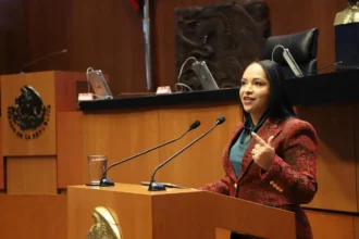 Liz Sánchez diputada del PT en una lucha histórica